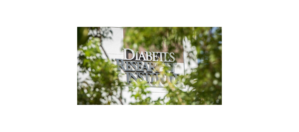 dri-signage_through-trees