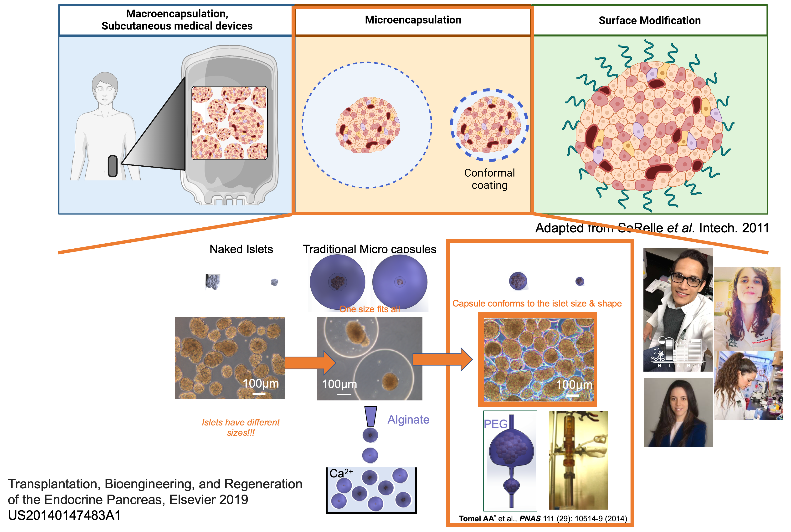 Conformal Coating Encapsulation Strategy
