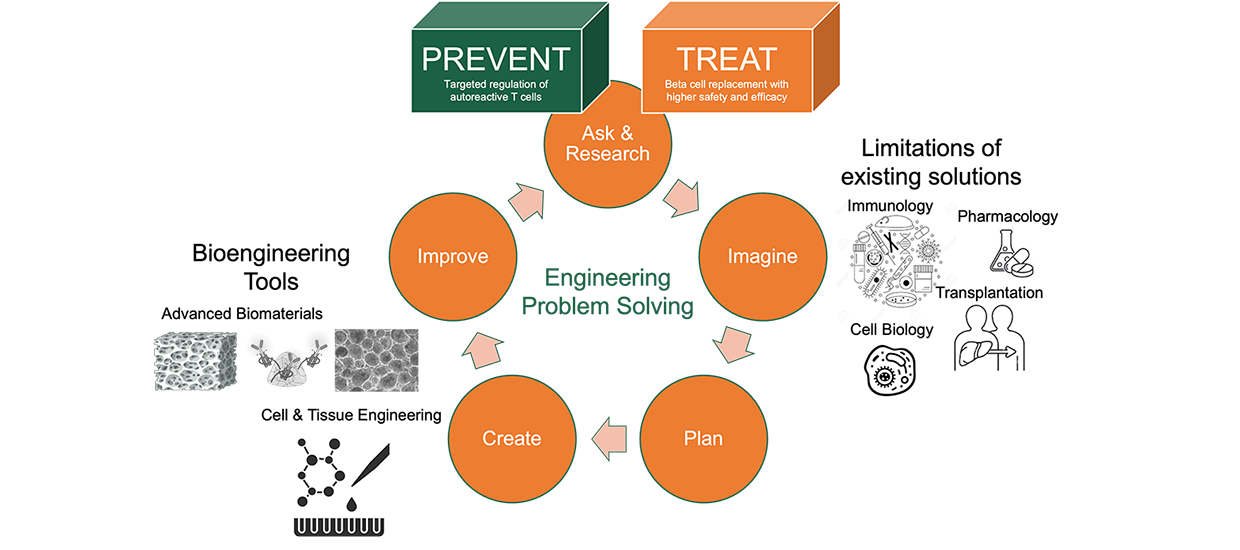tomei-lab-approach-slideshow
