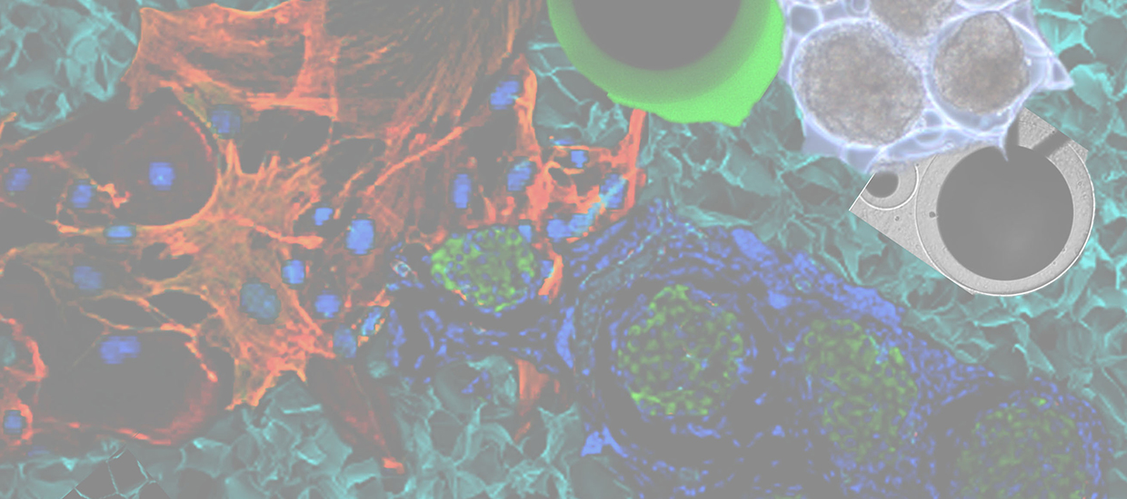 tomeilab-research-composite-slidesho